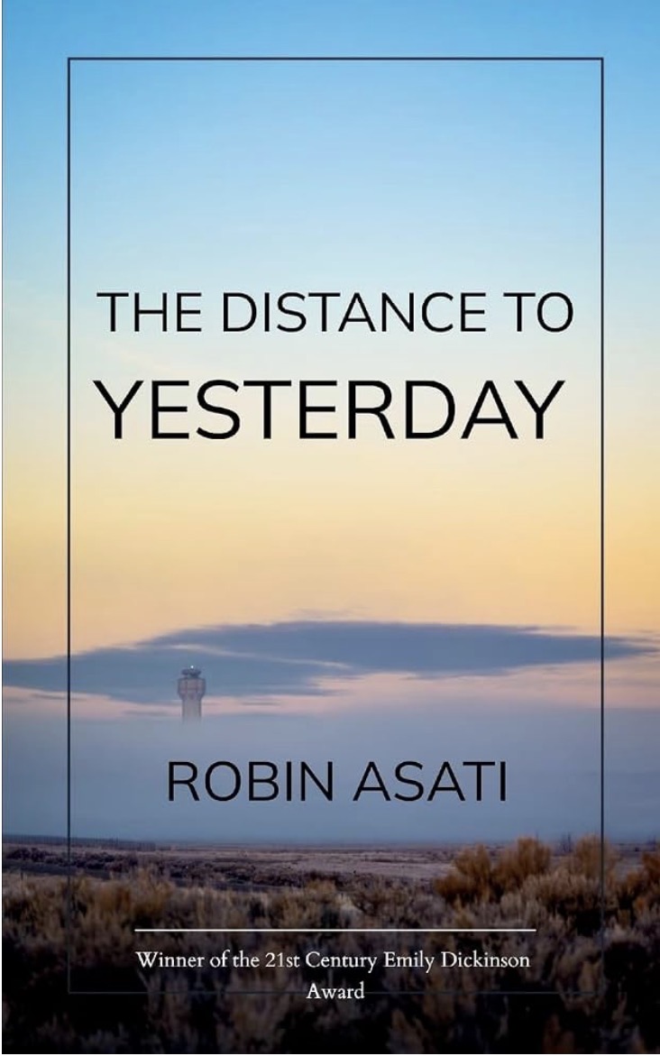 The Distance to Yesterday Book Cover